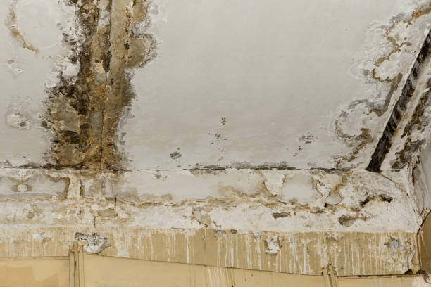 Water damage restoration insurance claims in Sewanee, TN